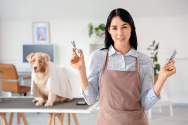 Makas ve fırçayla kuaförde kadın kuaförü