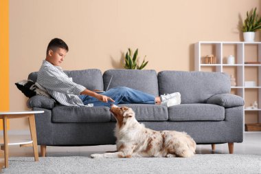 Avustralyalı çoban köpeği ve dizüstü bilgisayarı olan genç çocuk evdeki kanepede yatıyor.