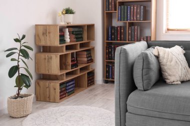 Modern gri kanepe ve oturma odasında bir sürü kitabı olan kitaplıklar.