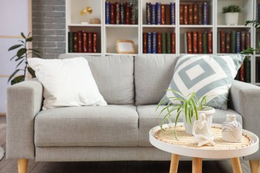 Gri kanepesi ve kitaplığı olan modern oturma odasının içinde.