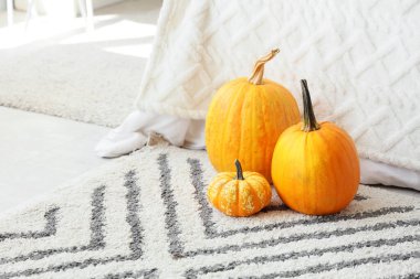 Yatak odasındaki halının üzerinde balkabakları, yakın plan.