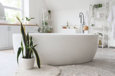 İçinde bitkiler, raf üniteleri ve küvet olan hafif bir banyo.