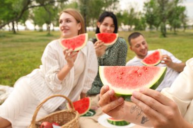 Karpuzlu genç adam ve arkadaşları parkta piknikte, yakın plan.