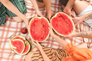 Parkta piknikte karpuz kesen genç arkadaşlar.