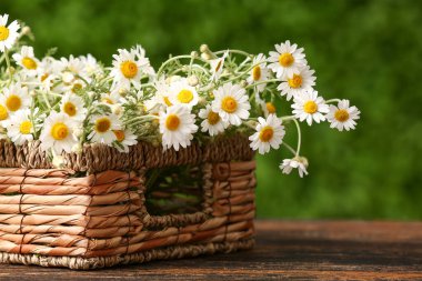 Dışarıdaki ahşap masada güzel papatya çiçekleri olan hasır sepet.