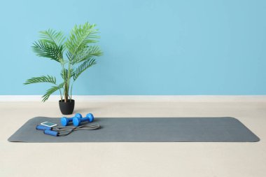Spor aletleri, cep telefonu ve spor salonundaki mavi duvarın yanındaki spor minderinde palmiye ağacı.