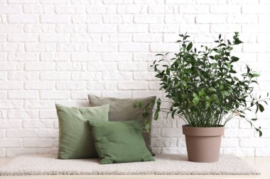 Beyaz tuğla duvarın yanında döşekler ve bitkiler