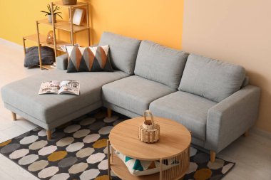 Rahat kanepesi, yastığı, raf ünitesi ve sehpası olan güzel bir oturma odası.