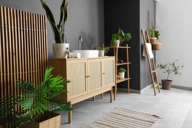 Çekmeceler, katlanan perdeler, ahşap askılar ve modern banyoda ev bitkileri.