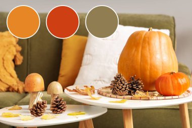 Balkabakları, koniler ve sonbahar yaprakları oturma odasındaki masalarda. Farklı renk desenleri