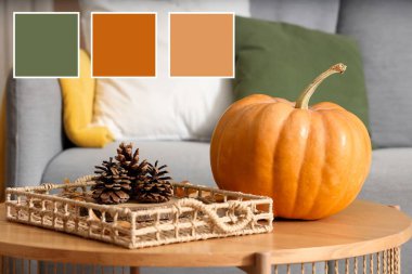 Balkabağı ve tepsi, oturma odasındaki masada koniler. Farklı renk desenleri