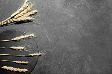 Siyah grunge arkaplanındaki dikenler