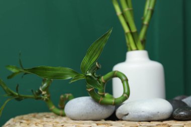 Bambu saplı vazo ve renkli arka planda pouf üzerine taşlar, yakın plan