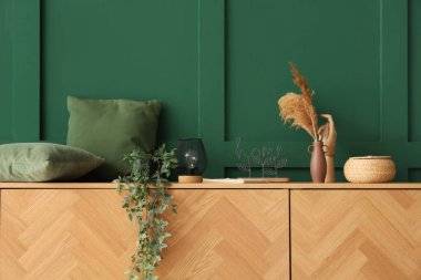 Yastıklı ahşap dolap, ev bitkisi ve dekorasyon yeşil duvarın yanında.