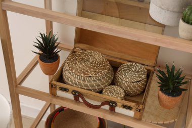 Ev bitkileri ve dekorlu cam raf, yakın plan.