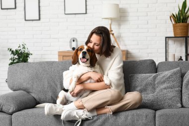 Evdeki gri kanepede sevimli Beagle köpeğine sarılan genç kadın.