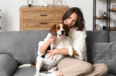 Evdeki gri kanepede sevimli Beagle köpeğine sarılan genç kadın.