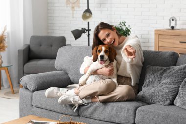 Evdeki gri kanepede sevimli Beagle köpeğine sarılan genç kadın.