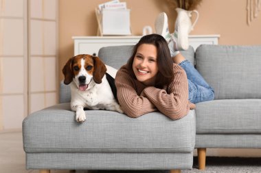 Evdeki rahat kanepede tatlı Beagle köpeği olan genç bir kadın yatıyor.