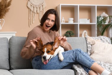 Evdeki kanepede sevimli bir Beagle köpeği olan genç bir kadın.