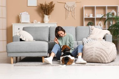 Evdeki gri kanepenin yanında sevimli Beagle köpeğiyle oynayan genç bir kadın.