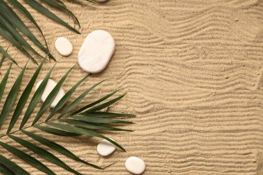 Yeşil tropikal yapraklar ve kumdaki taşlar