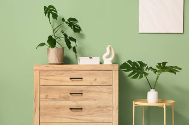 Oturma odasının modern iç mekanı. Çekmecelerin üstündeki saksıda tropik canavar yaprakları var. Yakın plan.