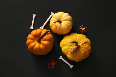 Karanlık arka planda Cadılar Bayramı için taze balkabağı ve dekor kompozisyonu