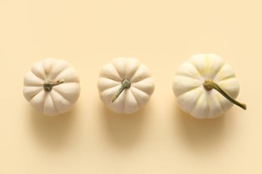 Renkli arkaplanda taze beyaz balkabakları