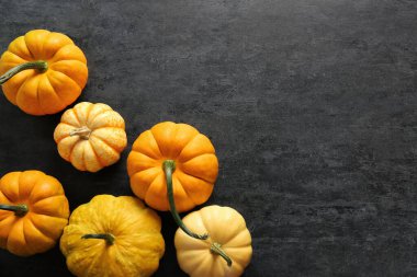 Koyu arkaplanda taze olgun balkabakları olan kompozisyon