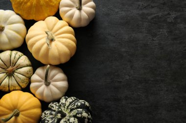 Koyu arkaplanda farklı taze balkabakları olan kompozisyon