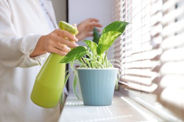 Pencere kenarında çiçek sulayan genç bir kadın, yakın plan.