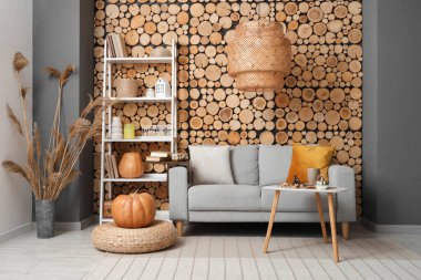 Sonbahar dekoru, kanepesi ve raf ünitesi olan oturma odasının içinde.