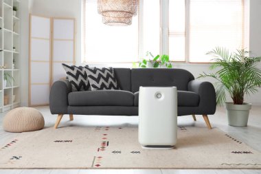 Oturma odasının içinde kanepe, bitki ve hava nemlendiricisi var.