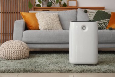 Oturma odasındaki halının üzerinde hava nemlendirici.