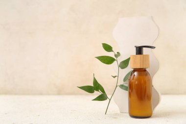 Hafif arka planda bir şişe kozmetik ürünü, alçı dekor ve bitki dalı