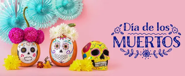 stock image Pumpkins with painted skulls and flowers on pink background. Banner for Mexico's Day of the Dead (El Dia de Muertos)