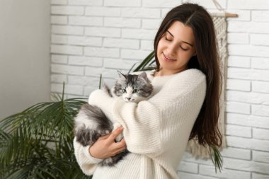 Genç bir kadın uzun saçlı şirin bir kediyi evde tutuyor.