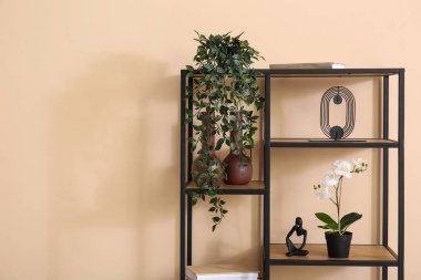 Bej duvarın yanında bitki ve dekor bulunan raf ünitesi.