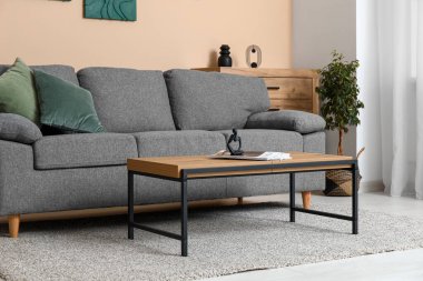 Siyah kanepesi ve sehpası olan modern oturma odasının içinde.