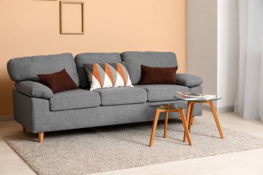 Rahat kanepesi, yastıkları ve kahve masası olan modern oturma odasının içinde.