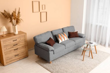 Rahat kanepesi, yastıkları ve kahve masası olan modern oturma odasının içinde.