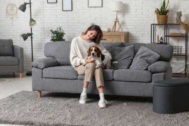 Sevimli Beagle köpeği evdeki rahat kanepede genç kadın bacaklarının üzerinde yatıyor.