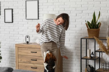 Genç kadın evde sevimli bir Beagle köpeği eğitiyor.