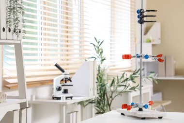 Klinikteki doktorun ofisinin içi aydınlık.