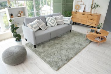 Oturma odasının içinde kanepe, çekmece ve yeşil katlanır ekran var.