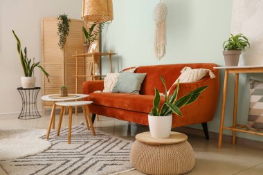 Çiçekler ve kanepe oturma odasının iç tarafında.