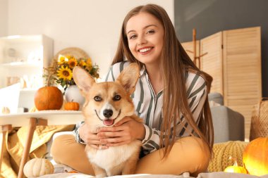 Şükran Günü 'nde Corgi köpeği olan genç bir kadın evde.
