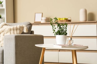 Süslü oturma odasındaki kahve masasının üzerinde bitki ve yayıcı.