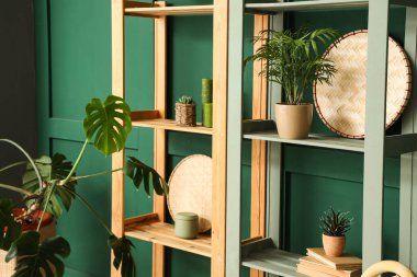 Ev dekorlu raflar ve yeşil duvarın yanında farklı ev bitkileri, yakın plan.